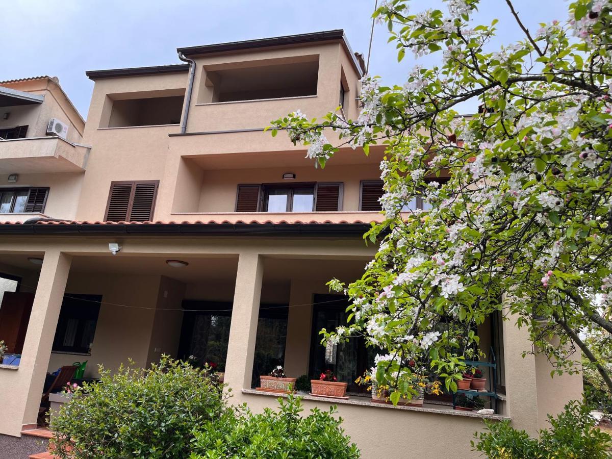 Lägenhet Apartment Miki-Free Parking Rovinj