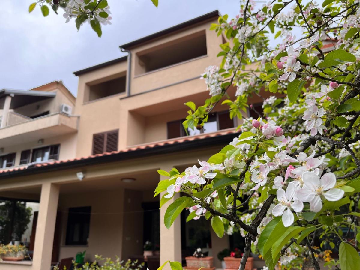 Apartment Miki-Free Parking